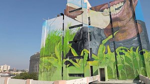 1.2M views · 219 reactions | The Donate A Wall project in Lucknow...