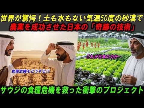 気温50度の砂漠で野菜自給率が20%から72%へと爆発的に増加、国王が自ら感謝を表明サウジアラビアの6ヶ月という最後通牒に、日本が見せた衝撃の逆転劇！【海外感動秘話】