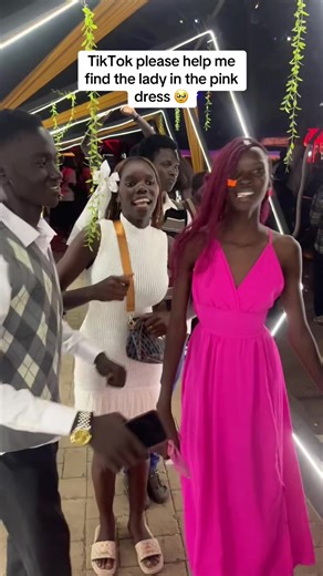 Help Find the Lady in the Pink Dress