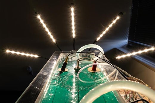 Automating Algae: Computer science capstone melds digital and physical skills