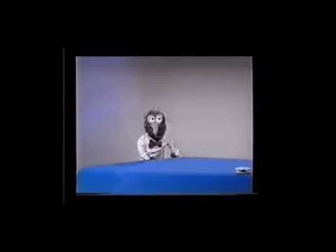 Gonzo’s Feather Induced Sneezes