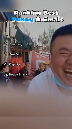 Ranking Best Funny Animals #shorts