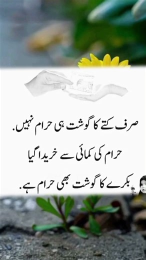 صرف کتے کا گوشت حرام نہیں 👍