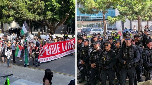 Premier’s ban put to test as 20 charged after protest
