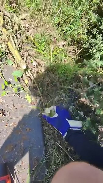 Man EXPERTLY Removes ENORMOUS Clover #satisfying | Tim The Lawnmower Man