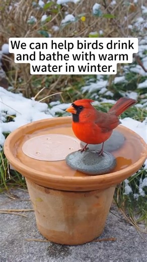 Candle-powered bird bath heater that actually works! just clever design. #mellbree #birds #birdbath
