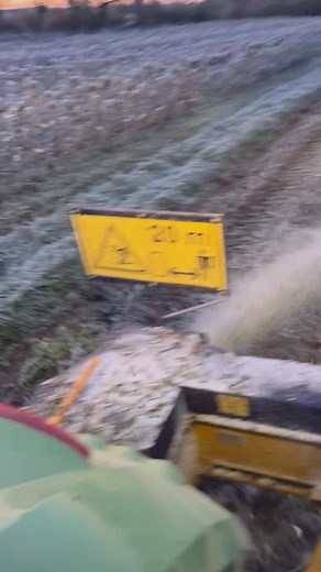 12K views · 83 reactions | Nous profitons du gel de ce matin pour commencer le rabotage des portes greffes#fruitiers#nursery#fruittrees #vivaio #szolka#vivai#baumschule#boomkwekerij #pepiniere # | Pépinières Chargé | Facebook