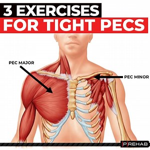 31K views · 1.1K reactions | 3 EXERCISES FOR TIGHT PECS ‼️The pecs...