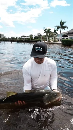 Fights like these are why we fish: one last cast to get your bait in the perfect spot, a split-second call to jump in the water to weave through the pilings, that feeling of finally getting your hands on the trophy - there’s nothing like it. Drop your best fish story in the comments - we want to hear it 🙌” | Toadfish