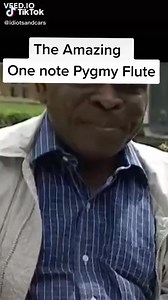 4.7K views · 90 reactions | Pygmy Flute #onenote #music | Gallimaufry | Facebook