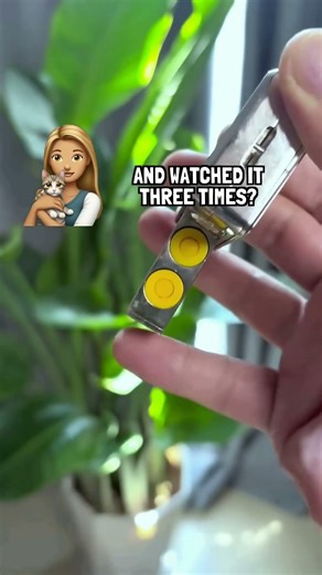 25 FREE Fun Toys: Too Many? 🥳🧸 #FidgetToyJoy #CoolFidgetToy #Kids #Play #PlayVibes #Wow #FunPlay