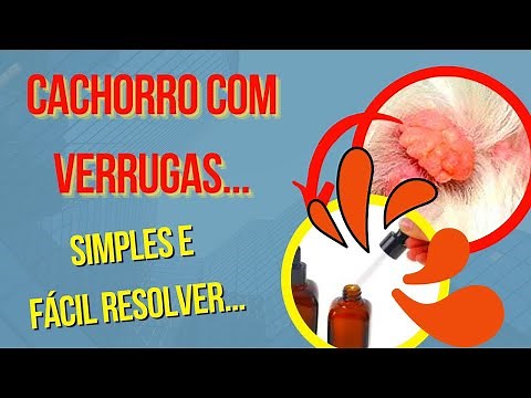 COMO ACABAR COM A VERRUGA DE CACHORRO - Tratamento De Verrugas em Cães aprenda a forma certa
