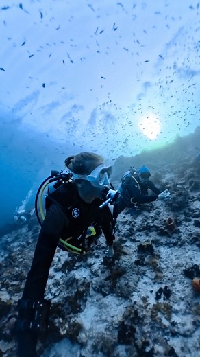 I’ve been scuba diving with my dad for as long as I can remember, and he’s been diving so long he’s tried just about every piece of gear out there 🤿 Here’s a couple reasons we love to dive with Garmin Descent X50i T2 Transceiver: - Buddy tracking so you can see your dive buddy’s tank pressure, location, and depth in real time - Built-in dive log to keep track of every adventure - Bright, easy-to-use, customizable screen @garminoutdoor is gear that keeps up with every adventure and makes each di