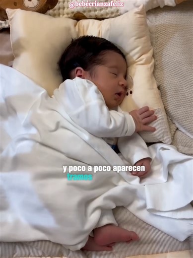 ¿Tu bebé recién nacido duerme muchas horas en el día, pero en la noche se despierta cada rato y tú ya no sabes qué hacer? 😵‍💫🍼 Esto no es mala costumbre ni berrinche. Es su sistema nervioso aprendiendo a organizarse… y con la guía correcta, eso sí se puede mejorar. ✨ Comparte este video con otra mamá que esté pasando por lo mismo. 🌙 En el link de mi perfil encontrarás el método Dulces Sueños, que te guía paso a paso para ayudar a tu bebé a dormir mejor y crear noches más tranquilas desde las