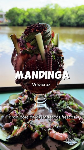 Descubre Mandinga: Un Paraíso Gastronómico en Veracruz