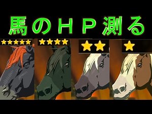 Testing the HP of Horses: Strength 1-5 Horses (No 3-Star Horses) [The Legend of Zelda: Breath of ...
