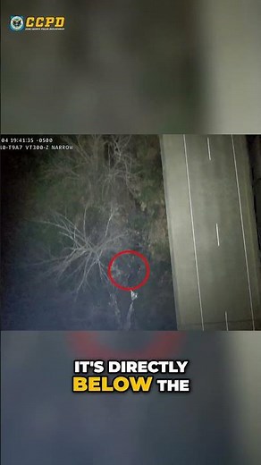 Cobb Police K9 Unit Deploys Drone to Track Fleeing Suspect