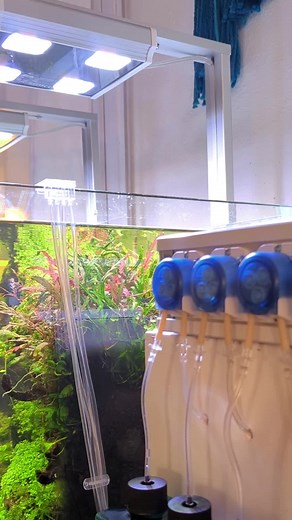 GHL Doser 2.2 cabinet construction provides precise and straightforward dosing and includes many more features. With the free GHL Connect App or the cloud service myGHL, you can access your Doser from anywhere in the world to start dispensing programs or check the levels of your metering liquids. Comfortably operate the device from your smartphone or your PC. The connection is possible via WiFi, LAN, and USB. The GHL Doser 2 is available as a Stand Alone (SA) Unit and a Slave Unit. Integrated Re