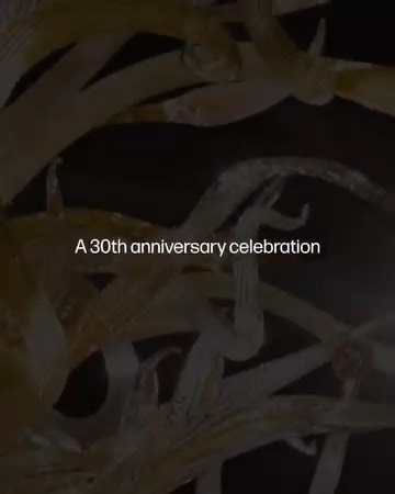 Three decades after presenting the groundbreaking “Chihuly Over Venice,” we are pleased to announce the artist’s return to the city that has been a consistent source of inspiration throughout his 60-year career. From May 5 to November 14, 2026, “CHIHULY: Venice 2026” will premiere three new, large-scale installations along the Grand Canal. The exhibition will feature an interpretive center with artwork and archival materials curated by Suzanne Geiss. Presented by Pilchuck Glass School and Freder