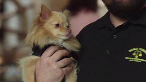 77K views · 1.3K reactions | ⬇️What’s been your favorite moment so far?⬇️ The Best of Pawn Stars captures some top moments tonight at 10/9c on HISTORY. | Pawn Stars on History | Facebook