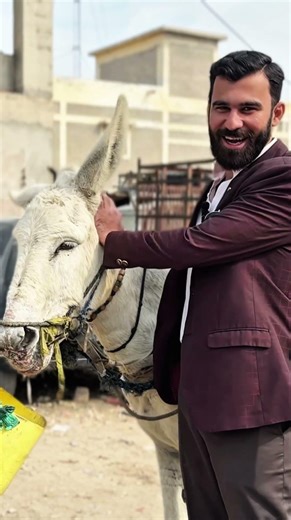 Shopping Challenge With My Sheroo (Donkey) 🫏🛍️ #shopping #donkey #challenge