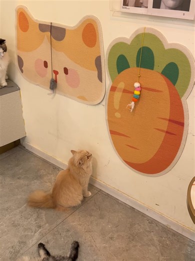 Wall-Mounted Cat Scratching Board for Happy Cats