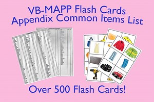 500  VB-MAPP Flash Cards - Common Items List - Etsy