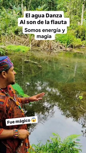 Somos energía y magia #amor #magia #vida #ser #paz #aprender #poder #señales #armonia #vibracion #avanzar #vibra #humanidad #luz #consciencia #unidad #energia #felicidad #union #abundancia #empatia #somosenergiaymagia | Somos Energía y Magia