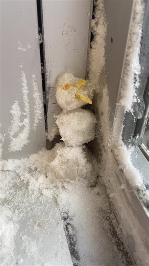 consing (@consing)’s videos with Messy - Funny Songs