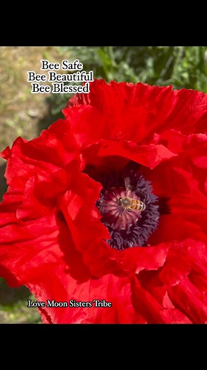 Moon Sisters Tribe on Reels