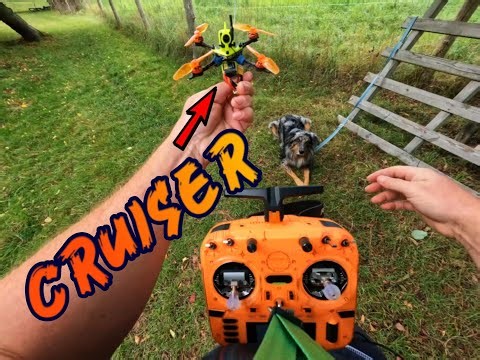 My Ultimate Sub250 Park Cruiser! 🚁| HDZero Toothpick