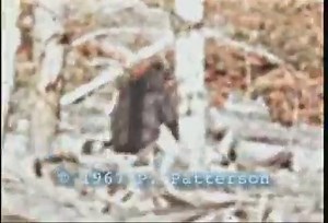 Why Do So Many People Still Want to Believe in Bigfoot?