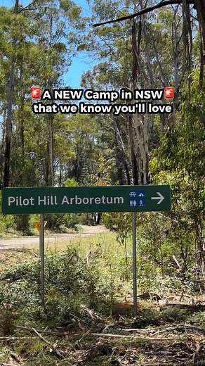 NEW CAMP with sculptures! Visit NSW State Forests are really proud of this site and walking trails! 📍Pilot Hill Arboretum in Bago State Forest NSW - find it in the CAMPS App! Plus there are loads of pet-friendly free camps near here and in State Forests all over NSW and they are all listed in the CAMPS App and guides 🐾 #camping #visitnsw #visitnswstateforests #pilothill #bagostateforest #freecamping #tumbarumba #batlow | Camps Australia Wide