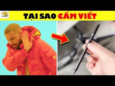 ĐỈNH CAO NHANH TRÍ ~ 50+ Câu Đố Nhanh Trí Gây Sốt Tuổi Teen Chỉ 10% Trả Lời Đúng Hết | Nhanh Trí