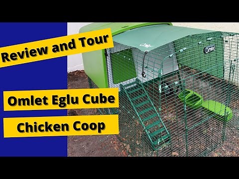 Review and Tour of the Omlet Eglu Cube Chicken Coop