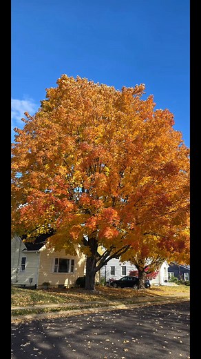 9.3K views · 169 reactions | City of Washington, Illinois on Reels | Facebook