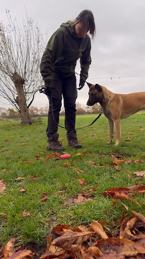 1.1K views · 192 reactions | Raw training I think I have forgotten...