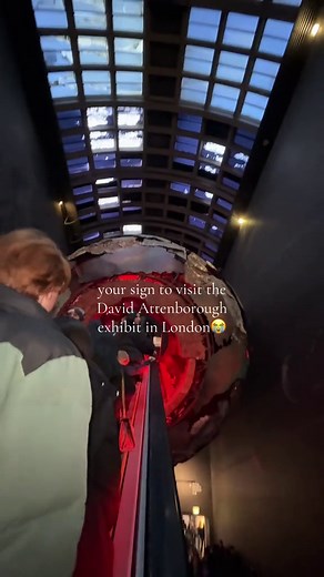 Visit the David Attenborough Exhibit in London