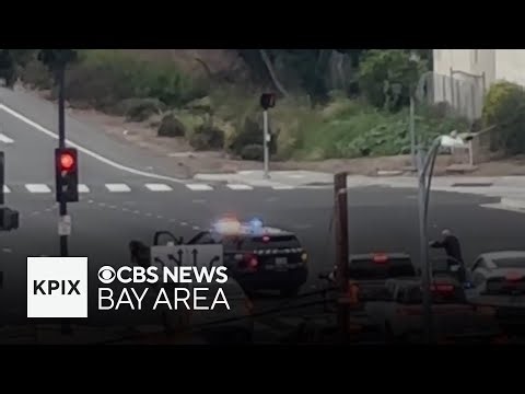 Suspect in armed carjacking spree shoots San Jose police sergeant before getting run over