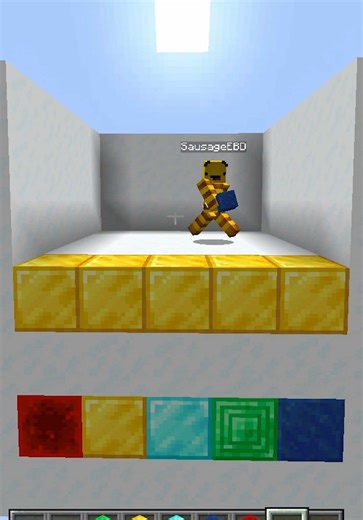 Minecraft Block Guesser Challenges with Barrybee Clips