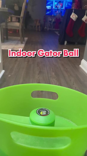 Yellow Labrador Retriever Training for Duck Hunting