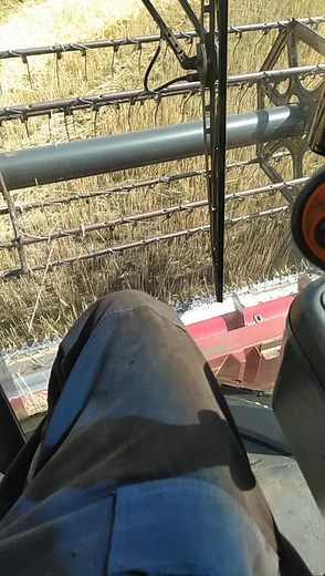 Inside a Combine Harvester: Control Panel Overview