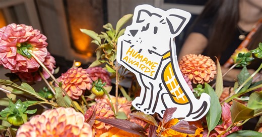 Extraordinary People and Animals Honored at the 2024 ASPCA Humane Awards