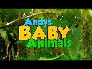 Full Theme Song! 🎶 | Andy's Baby Animals
