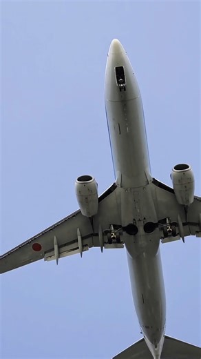 強風で揺れてるけど安定のランディング👏阿賀野川の水面がきれい、、、那覇からおかえりなさい♪ #全日空 #ANA #ボーイング737 #B737 #KIJ #OKA #松浜漁港 #スターアライアンス #staralliance #青組 #空活 #強風