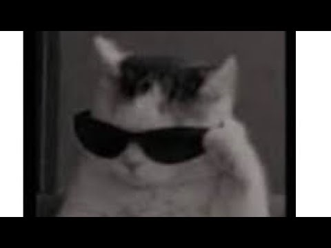 فيدي الرجعة❤️❤️🥊