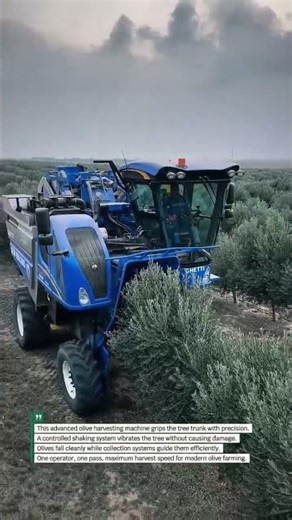 Powerful Olive Harvester Shakes Trees Fast | #AgriTech #FarmingUSA #OliveHarvest