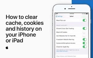 苹果支持 教程 - 如何在 iPhone 或 iPad 上清除缓存、Cookie 和历史记录 — Apple Support
