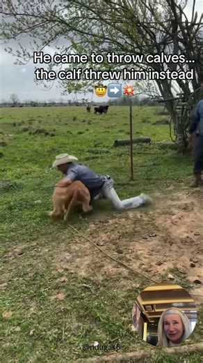 Man Gets Absolutely Wrecked by a Baby Calf #shorts #unexpected #farming