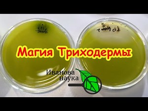 The secret ingredient for a record harvest: this will help. Who's the best helper in the garden?